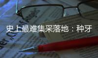 史上最难集采落地�：种牙大降价，走了第一步