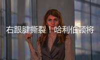 右跟腱撕裂！哈利伯顿将缺席2025