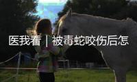 医我看｜被毒蛇咬伤后怎么办？这份急救指南请收好