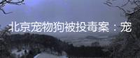 北京宠物狗被投毒案
：宠物如何定价	，犬主能否诉精神赔偿