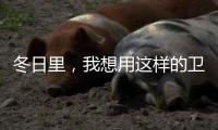 冬日里，我想用这样的卫生间......