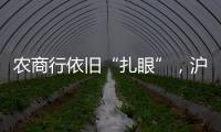农商行依旧“扎眼”，沪农商行摘“罚金之王”｜金融合规榜