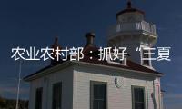 农业农村部：抓好“三夏”生产 努力夺取全年粮食丰收