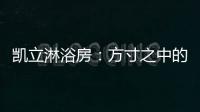 凯立淋浴房
：方寸之中的淋浴房造型搭配!