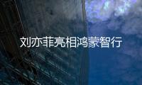 快排公司十年历程，霸屏兔 seo 的崛起与坚守