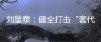刘星泰：健全打击“套代购”走私长效机制