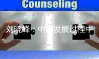 刘晓峰：中国发展过程中蕴含着民主党派的贡献