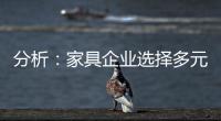 分析：家具企业选择多元化发展还是专业化道路?