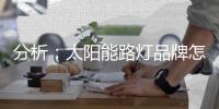 分析
：太阳能路灯品牌怎样把握高端市场?