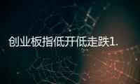 创业板指低开低走跌1.36%，油气股逆势大涨