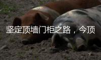 坚定顶墙门柜之路	，今顶2021年核心代理商年中线上交流会圆满结束