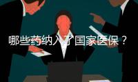 哪些药纳入了国家医保
？用它随时查→