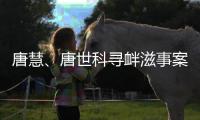 唐慧
、唐世科寻衅滋事案公开宣判