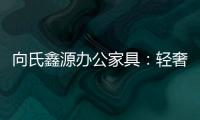 向氏鑫源办公家具：轻奢高级，演绎城市办公新美学