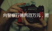 快排公司十年历程，霸屏兔 seo 的崛起与坚守