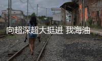 快排公司十年历程，霸屏兔 seo 的崛起与坚守