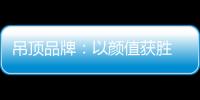 快排公司十年历程，霸屏兔 seo 的崛起与坚守