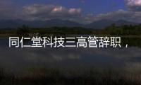 快排公司十年历程，霸屏兔 seo 的崛起与坚守