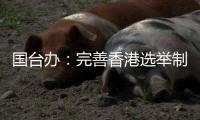 国台办：完善香港选举制度将粉碎民进党乱港谋“独”妄想