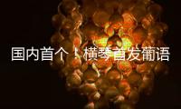 国内首个！横琴首发葡语大模型