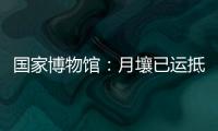快排公司十年历程，霸屏兔 seo 的崛起与坚守