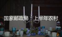 国家邮政局：上半年农村地区快递收投量超200亿件 乡镇网点覆盖率达98%