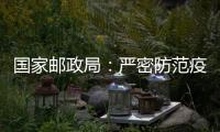 快排公司十年历程，霸屏兔 seo 的崛起与坚守