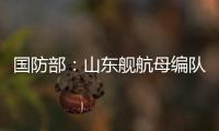 国防部：山东舰航母编队访港再次掀起“航母热”