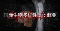 国际生物多样性日
	：菲亚特动力科技助力特提斯研究所地中海鲸目动物和海洋环境