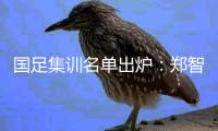 国足集训名单出炉
：郑智落选 两U23新星入选