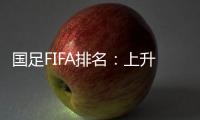 快排公司十年历程，霸屏兔 seo 的崛起与坚守