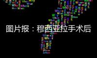 快排公司十年历程，霸屏兔 seo 的崛起与坚守