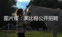 图片报
：莱比锡公开招聘厨师
，为球员和工作人员提供餐饮服务