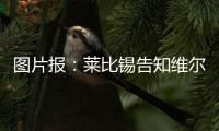图片报
：莱比锡告知维尔纳将不再上场，唯一下家或为纽约红牛