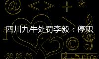 快排公司十年历程，霸屏兔 seo 的崛起与坚守