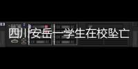 四川安岳一学生在校坠亡，官方通报