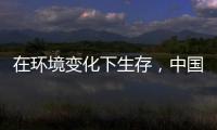 在环境变化下生存，中国十大管业品牌以最快的速度做调整
