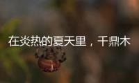 在炎热的夏天里	，千鼎木门为您送上一份清凉!
