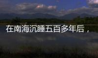 在南海沉睡五百多年后，它们终于出水展出