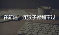 在新疆“连猴子都翻不过的山”，查缉、抢险和反恐维稳
