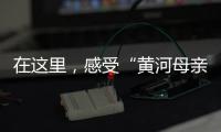 在这里，感受“黄河母亲”的大爱
