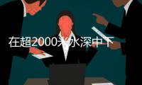 快排公司十年历程，霸屏兔 seo 的崛起与坚守