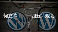 何立峰
�：“十四五”规划纲要草案指标就像“奋力一跳可以摘到的树上的桃子”