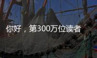 快排公司十年历程，霸屏兔 seo 的崛起与坚守