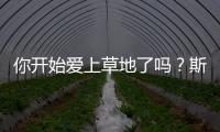 你开始爱上草地了吗？斯瓦泰克：是的，今年有趣多了