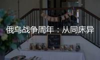 俄乌战争周年	：从同床异梦到同室操戈
