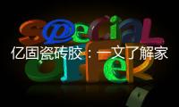 快排公司十年历程，霸屏兔 seo 的崛起与坚守