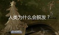 人类为什么会脱发？