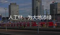 人工林，为大地添绿