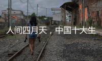 人间四月天，中国十大生态板品牌以质取胜